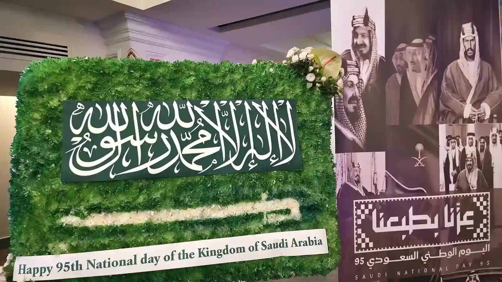 پرستو سیر × فلایناس - 20